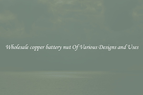 Wholesale copper battery nut Of Various Designs and Uses
