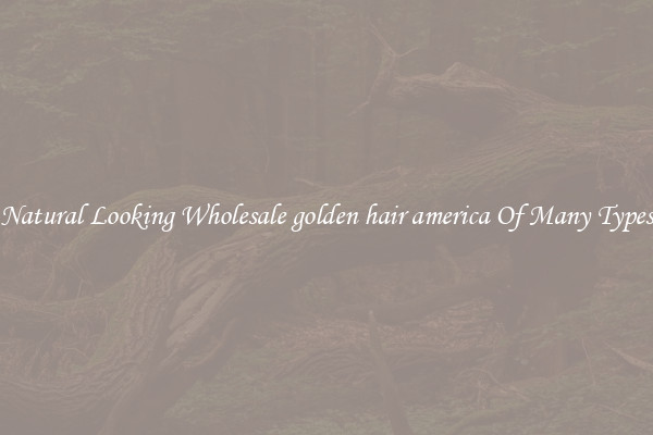 Natural Looking Wholesale golden hair america Of Many Types