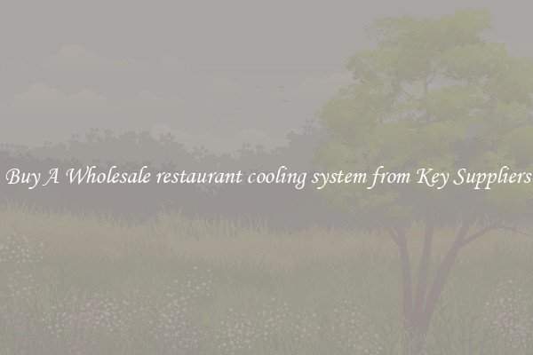 Buy A Wholesale restaurant cooling system from Key Suppliers
