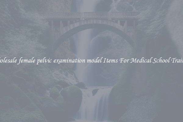 Wholesale female pelvic examination model Items For Medical School Training
