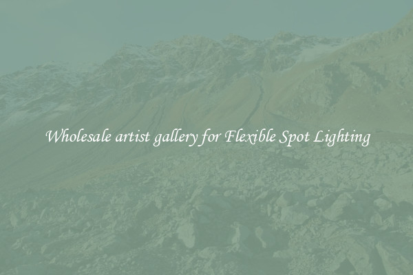 Wholesale artist gallery for Flexible Spot Lighting