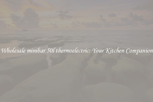 Wholesale minibar 50l thermoelectric: Your Kitchen Companion