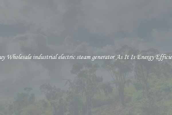 Buy Wholesale industrial electric steam generator As It Is Energy Efficient