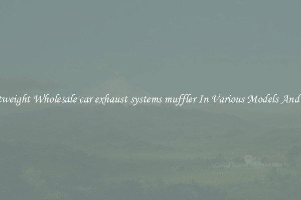 Lightweight Wholesale car exhaust systems muffler In Various Models And Sizes