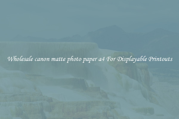 Wholesale canon matte photo paper a4 For Displayable Printouts