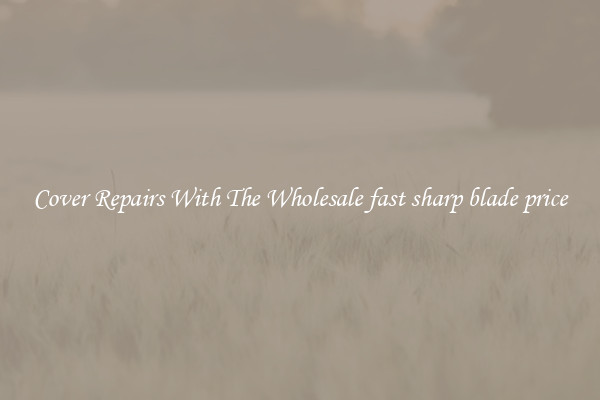  Cover Repairs With The Wholesale fast sharp blade price 