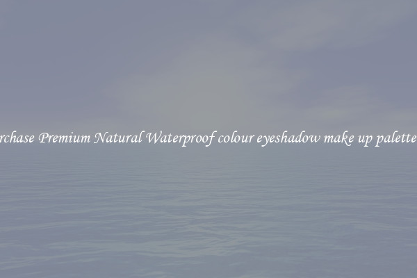Purchase Premium Natural Waterproof colour eyeshadow make up palette set