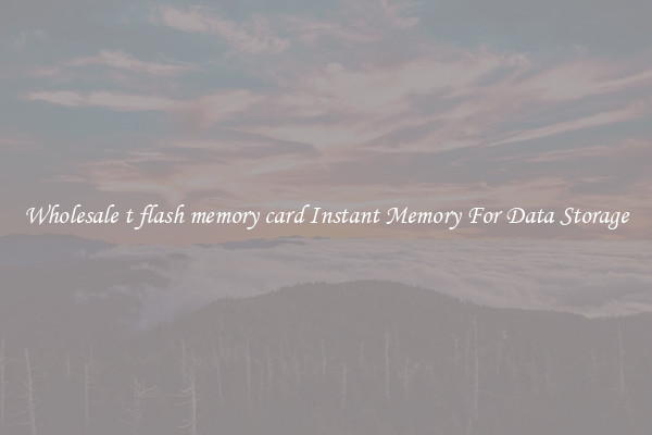Wholesale t flash memory card Instant Memory For Data Storage