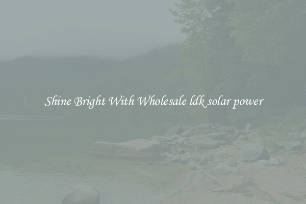 Shine Bright With Wholesale ldk solar power