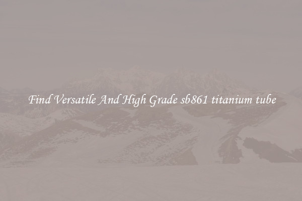 Find Versatile And High Grade sb861 titanium tube