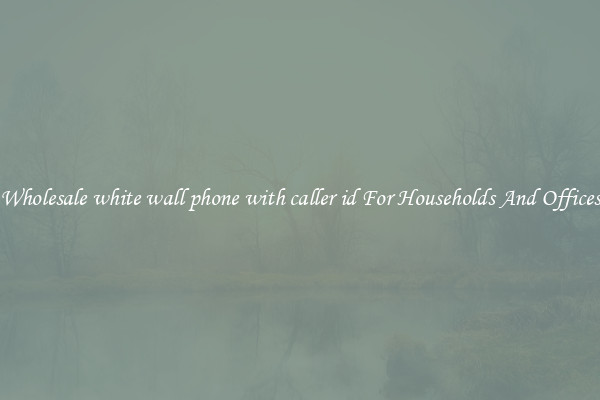 Wholesale white wall phone with caller id For Households And Offices