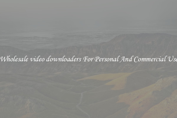 Wholesale video downloaders For Personal And Commercial Use