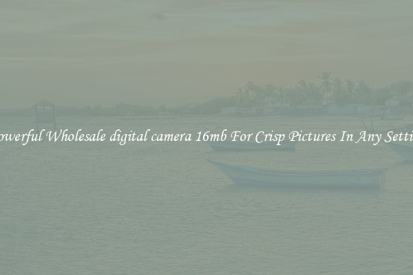 Powerful Wholesale digital camera 16mb For Crisp Pictures In Any Setting