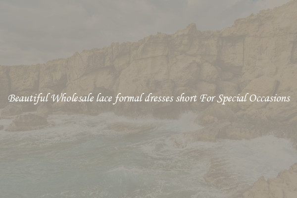 Beautiful Wholesale lace formal dresses short For Special Occasions