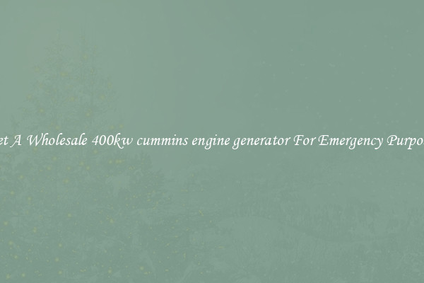 Get A Wholesale 400kw cummins engine generator For Emergency Purposes