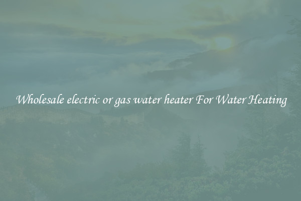 Wholesale electric or gas water heater For Water Heating