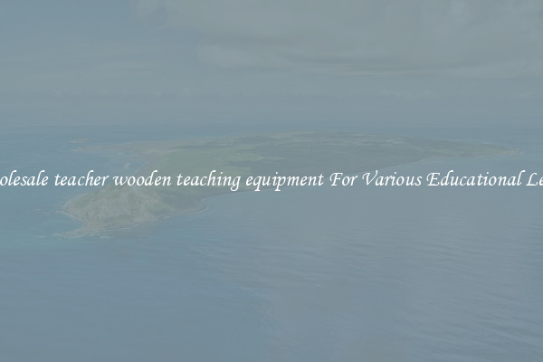 Wholesale teacher wooden teaching equipment For Various Educational Levels
