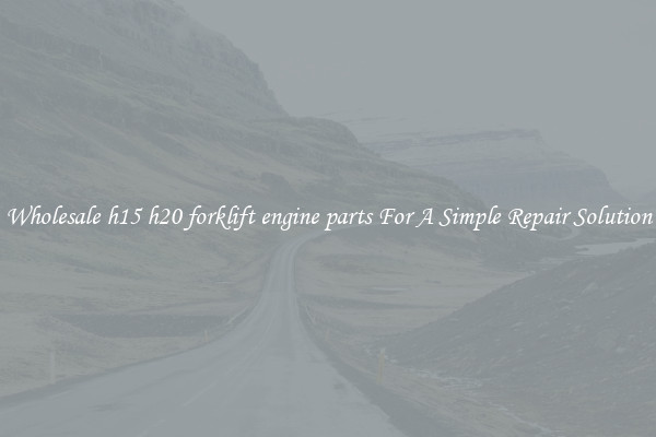 Wholesale h15 h20 forklift engine parts For A Simple Repair Solution